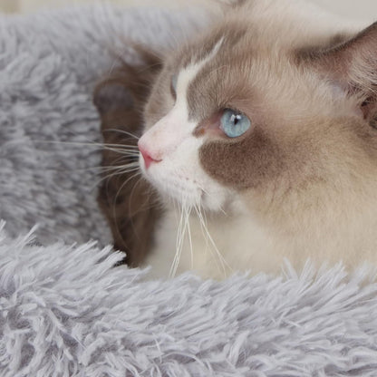 Fluffy Dog Bed Small Size Dog Washable - Plush Cat Beds for Indoor Cats or Puppy,23 Inches anti Anxiety Pet Bed for Joint-Relief and Deep Sleep